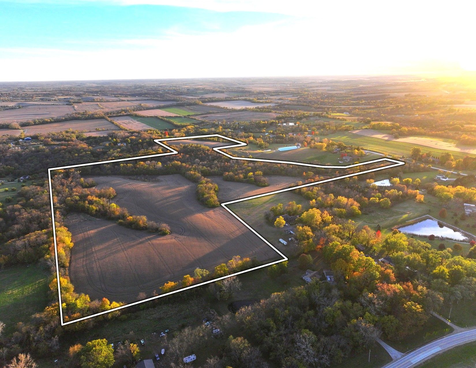 Listing #19554